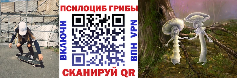 купить  цена  Полярные Зори  Галлюциногенные грибы мухоморы 